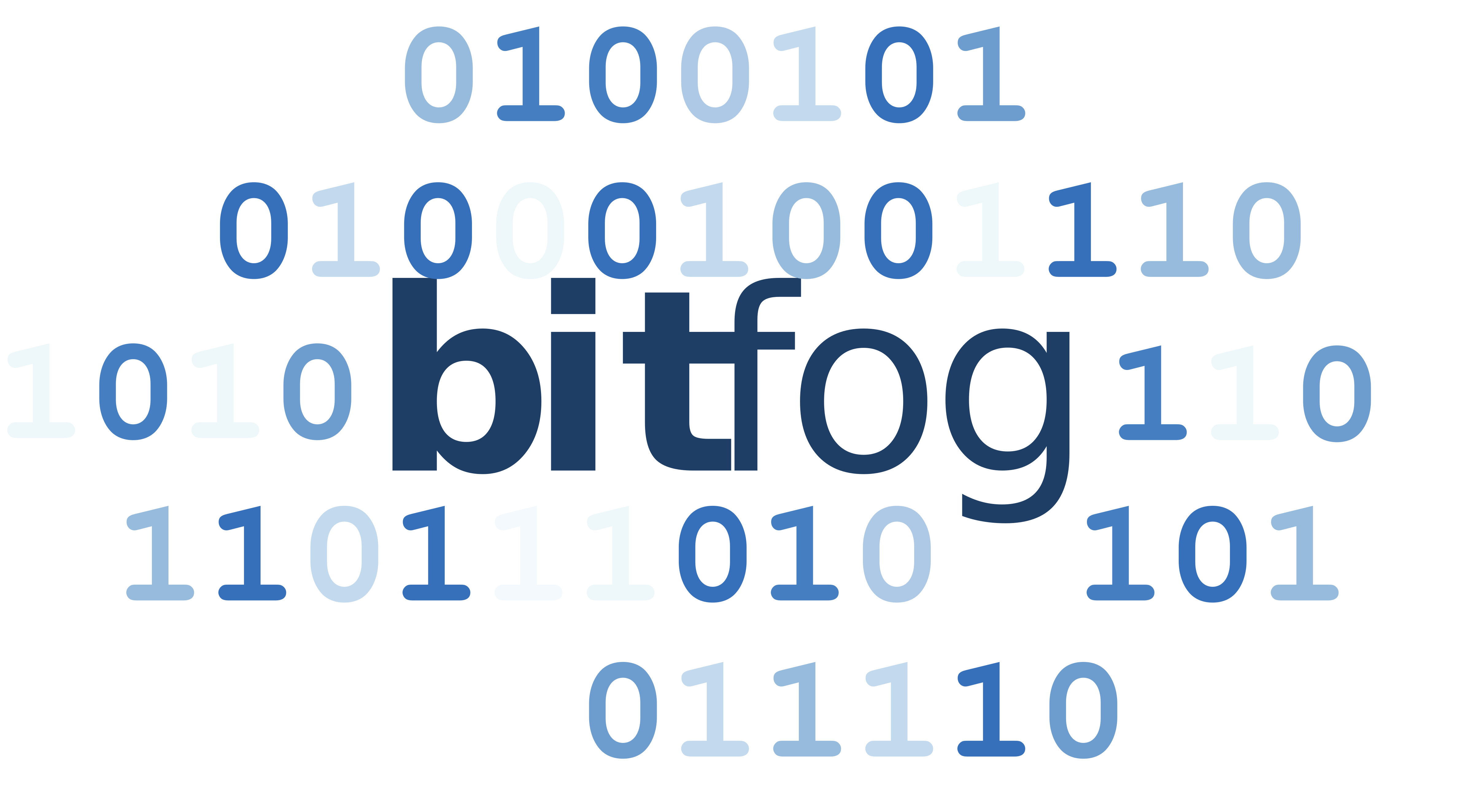 Bit Fog Logo